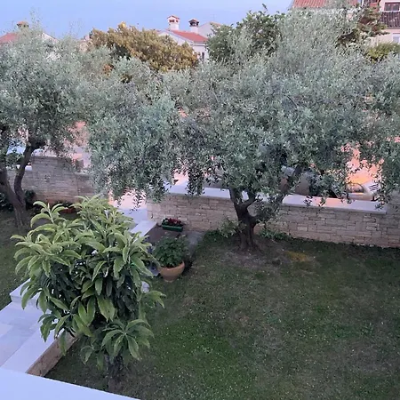 Veli Joze * Porec
